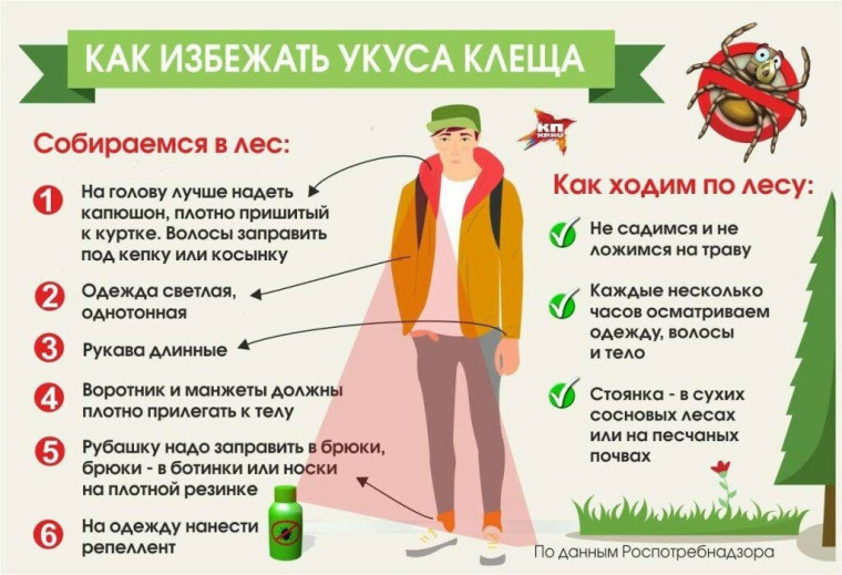 клещи.